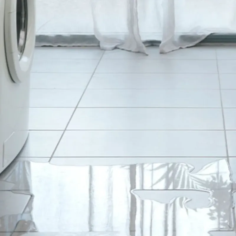 Appliance Leak Cleanup in Waverly, IA