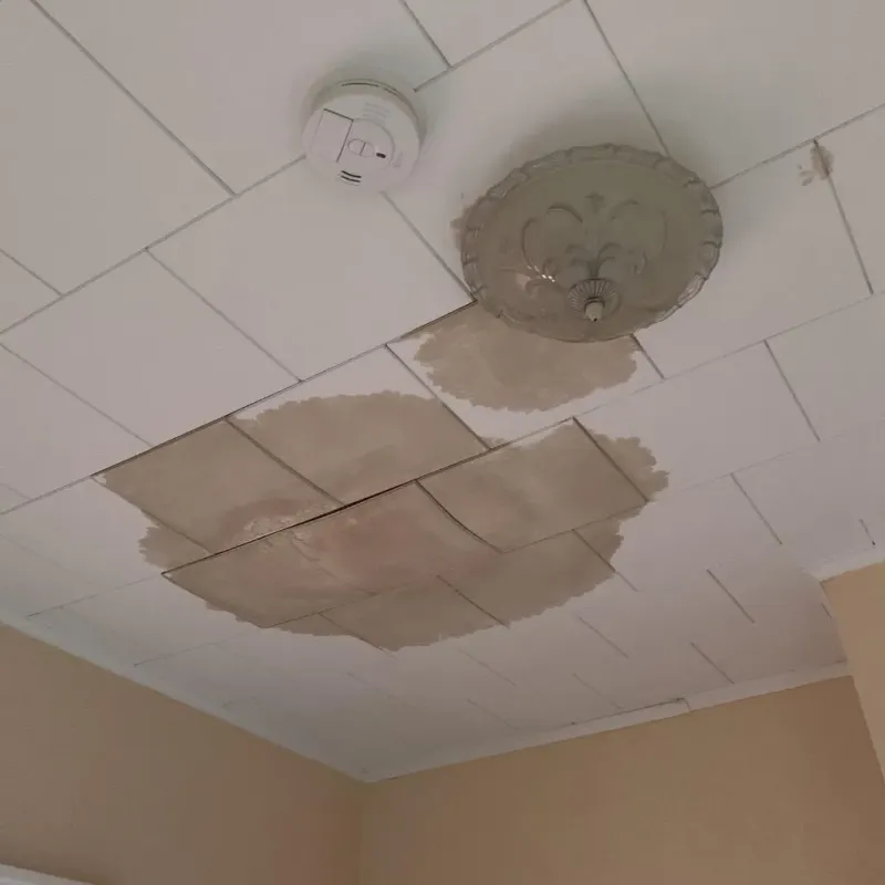 Ceiling Water Damage Repair in Waverly, IA