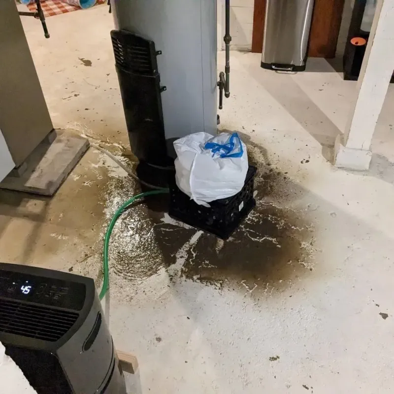 Sewage Backup Cleanup Service in Waverly, IA